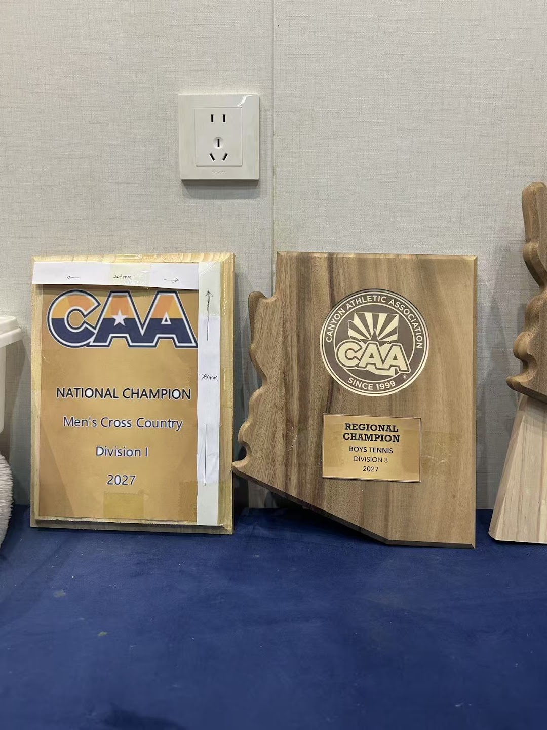 CAA project photograph showing logo, award wording and shaped wood construction.